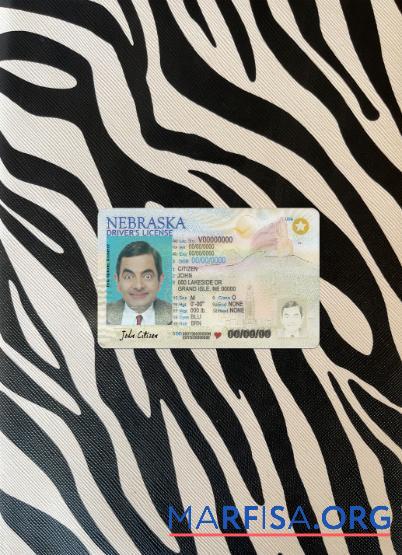 Downloadable USA Nebraska new driving license photolook example